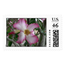 Oleander flower. stamps
