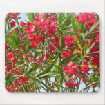Oleander Mousepad