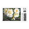 Oleandor  postage
