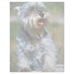 Olga,"""" Schnauzer Customized Letterhead