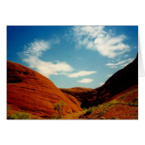 olgas cards