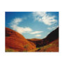 olgas postcards