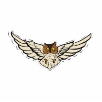 Olinka Owl photo sculptures