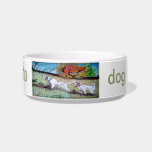 olio su tela pet bowls