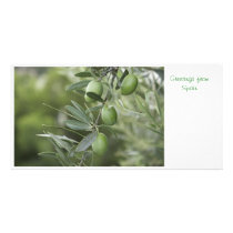 Olive branch/Trims off lower branches of branch Personalized Photo Card