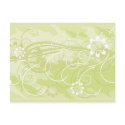 olive flowers postcards