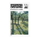 Olive Grove, St. Remy, France postage