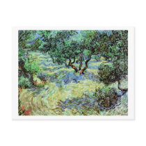 Olive Grove, Vincent van Gogh postcards by masterpiecesofart Olive Grove, Vincent van Gogh postcards