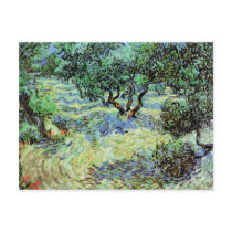 Olive Grove, Vincent van Gogh postcards by masterpiecesofart Olive Grove, Vincent van Gogh postcards