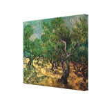 Olive Grove Vincent van Gogh Vintage Impressionism Canvas Print
