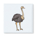Olive Ostrich magnets