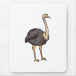 Olive Ostrich