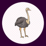 Olive Ostrich