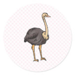 Olive Ostrich