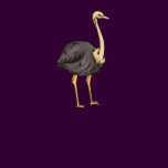 Olive Ostrich