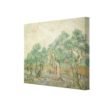 Olive Picking by van Gogh, Vintage Impressionism Canvas Print