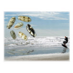 Olive Shells pulling boogie boarder Post Cards