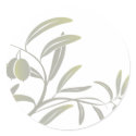 olive sticker plain