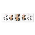 Olive Thomas II bumper stickers