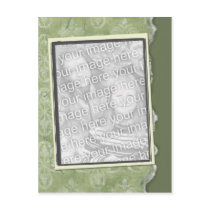 Olive torn edge postcards