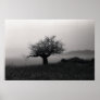 Olive Tree by the Sea Poster