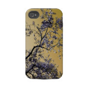 olive tree casematecase