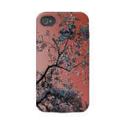 olive tree casematecase