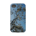 olive tree casematecase