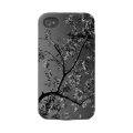 olive tree casematecase