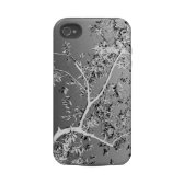 olive tree casematecase