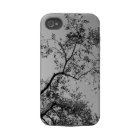 olive tree casematecase