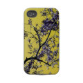 olive tree casematecase