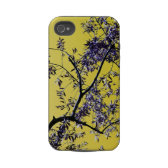 olive tree casematecase