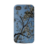 olive tree casematecase
