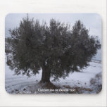 Olive Tree in the snow, Algorfa, Spain.  Mousemat