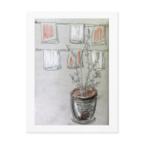Olive Tree on rue de Seine Post Cards