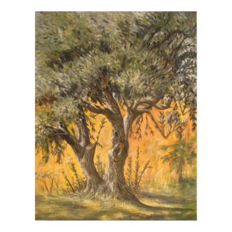 Olive Tree print