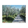 OLIVE TREES IN RIMAGGIO POSTCARD