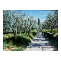 OLIVE TREES IN RIMAGGIO posters by AiLartworks OLIVE TREES IN RIMAGGIO posters