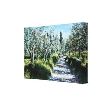 OLIVE TREES IN RIMAGGIO TUSCANY GALLERY WRAPPED CANVAS
