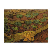 Olive Trees, Slope of a Hill, Vincent van Gogh Postcards