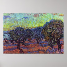 Olivenhain By Vincent Van Gogh Print