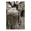 Oliver Farm Tractor posters