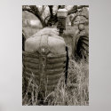 Oliver Farm Tractor posters