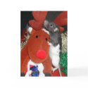 Oliver meets Rudolf cards