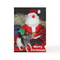 Oliver meets Santa cards by rattycorner Oliver meets Santa cards