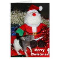 Oliver meets Santa cards