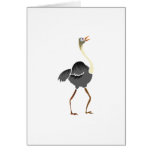 Oliver Ostrich