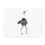 Oliver Ostrich Post Card