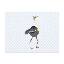 Oliver Ostrich Post Card